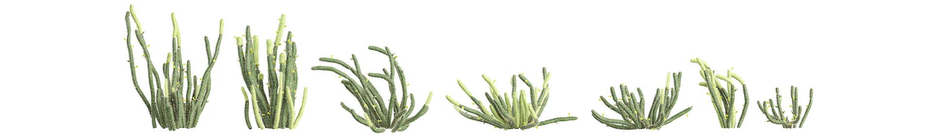 Landscaping Services