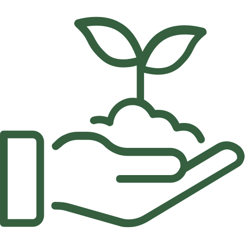 Seasonal plant replacement