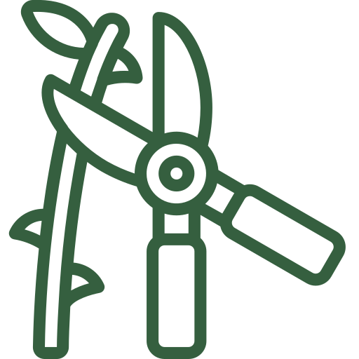 Tree and shrub pruning