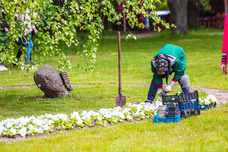 Reviving and maintaining gardens to stay healthy, attractive, and beautiful.