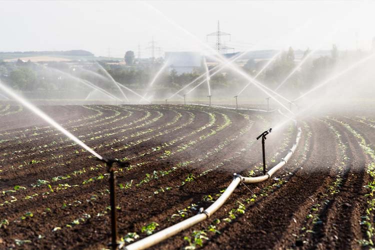 Setting up smart irrigation systems ensuring efficient water use and coverage.