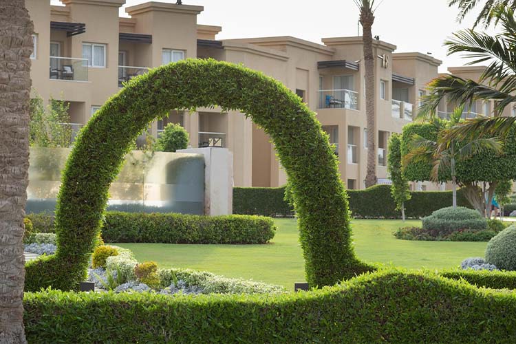 Neatly installed shrubs and hedges add privacy, structure, and year-round greenery.