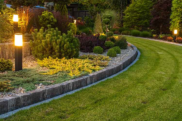 Enhancing outdoor areas with trees, lawns, flowers, shrubs, and greenery.