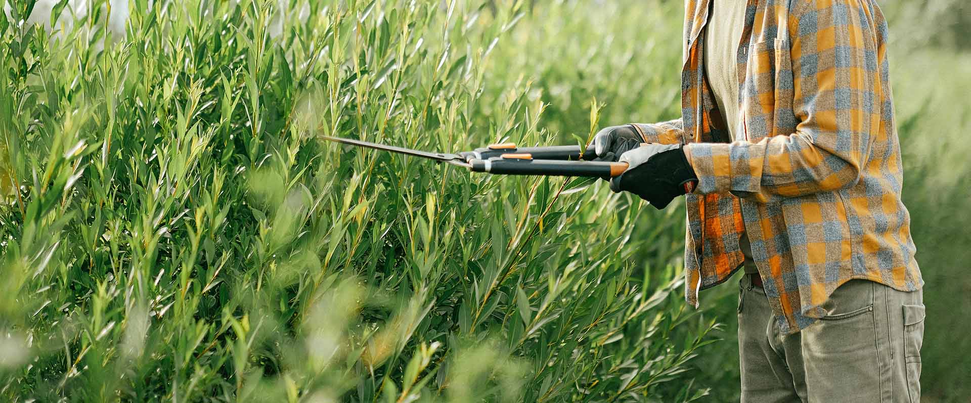 Landscape maintenance services in Dubai