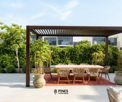 Residential landscape with garden greenery and structured outdoor planting