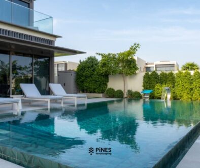 Residential garden project with greenery and completed landscape features