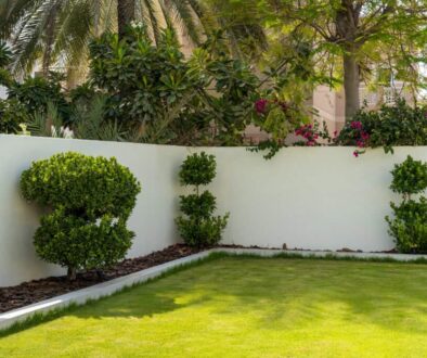 How to Keep Garden Grass Green Throughout Dubai’s Summer