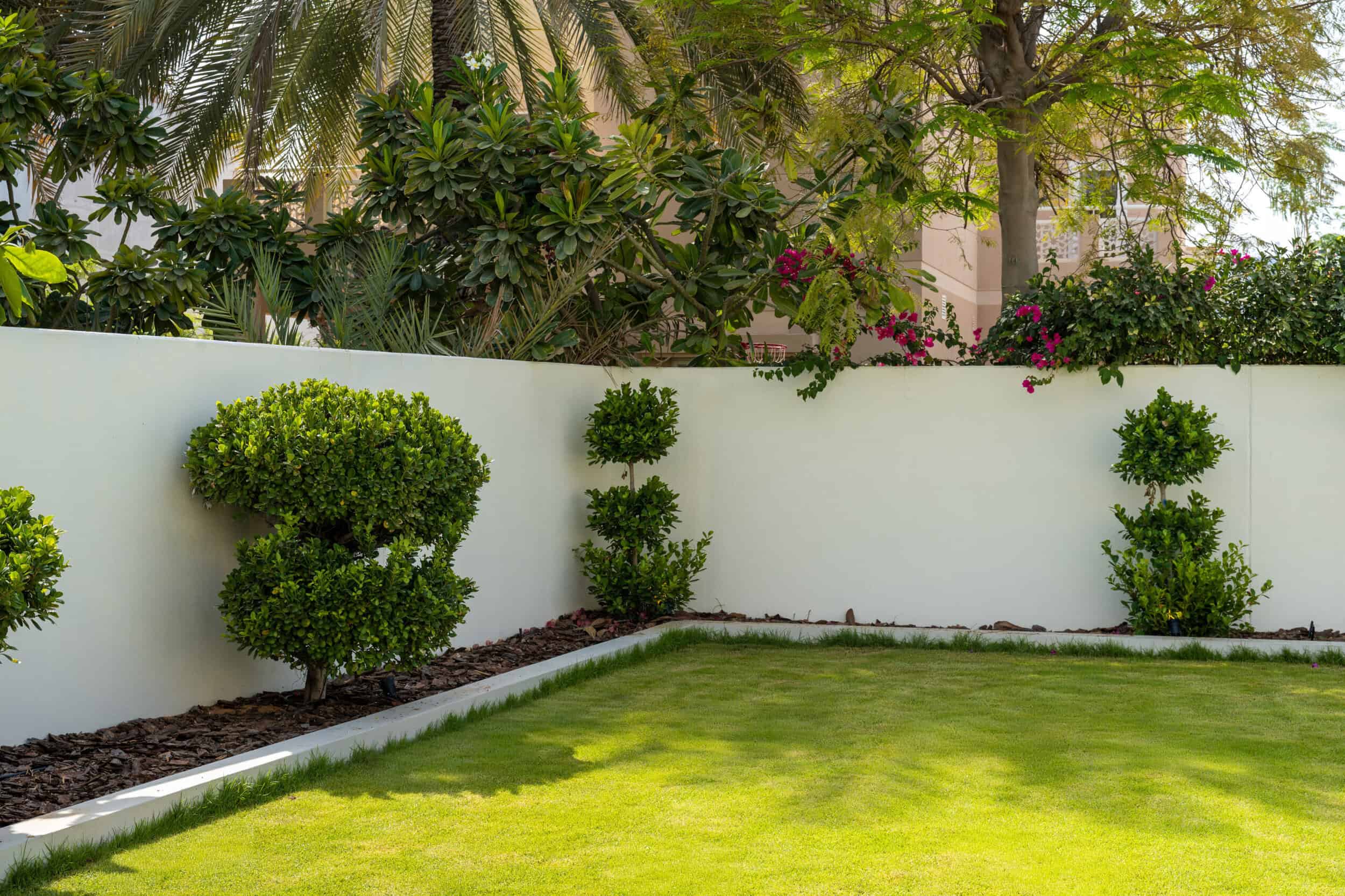 How to Keep Garden Grass Green Throughout Dubai’s Summer