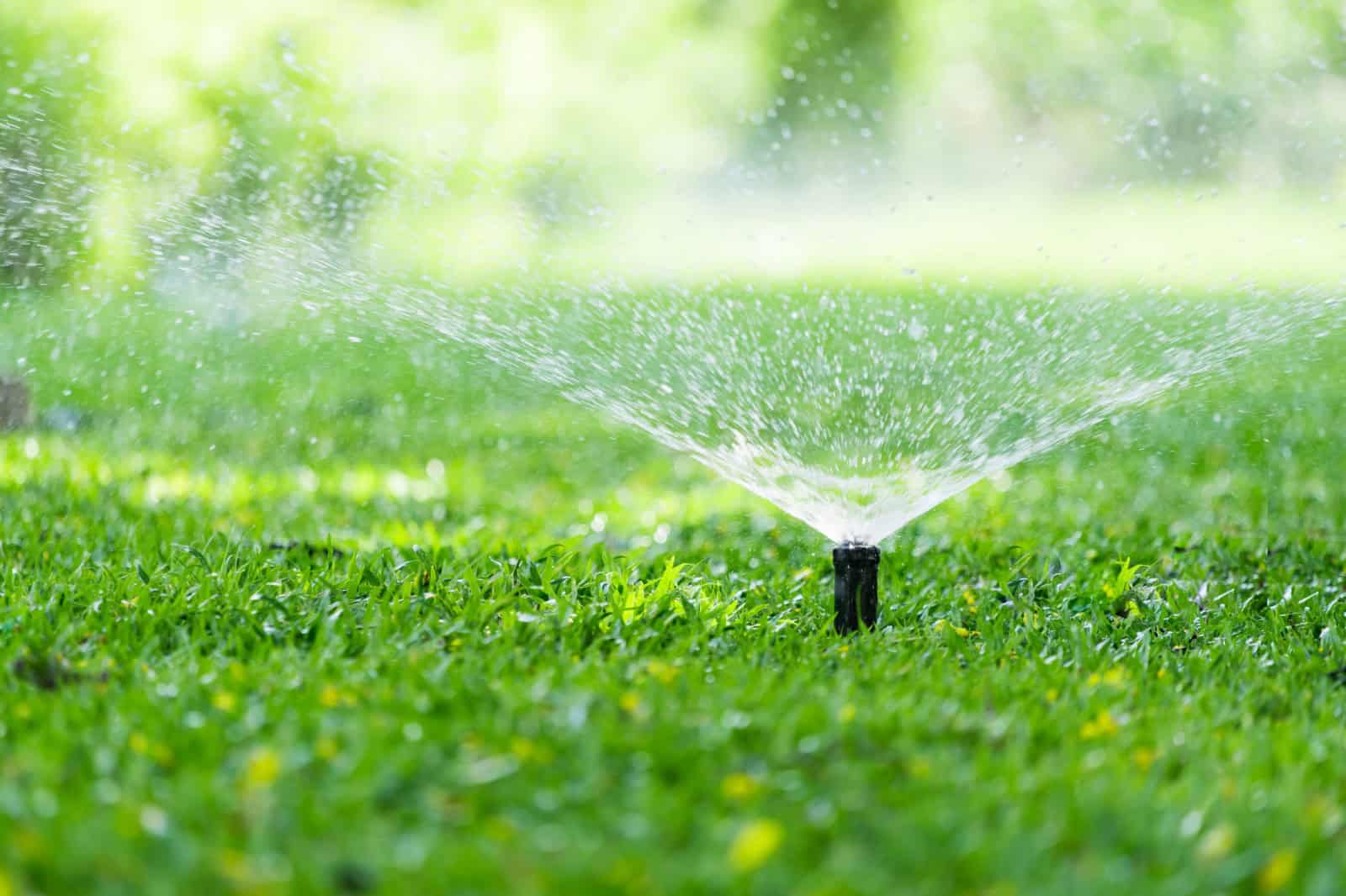 Efficient watering is essential for a healthy landscape in Abu Dhabi. We plan and install irrigation options such as drip lines, sprinkler systems and automated timers to match the planting plan and water needs. Thoughtful zoning and scheduling can support plant health while helping avoid unnecessary water use.