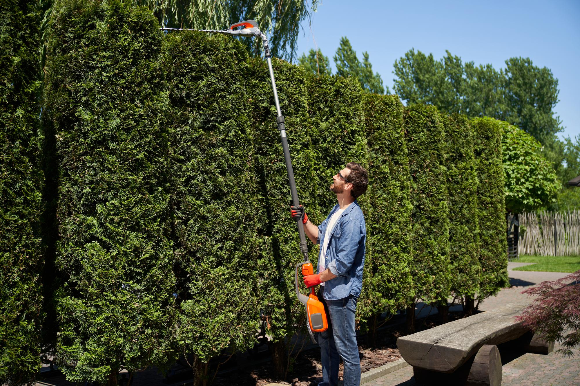 Tree Trimming and Pruning in Dubai: When and Why Your Garden Needs It